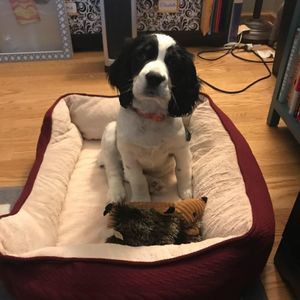 Meet your Posher, Jennifer